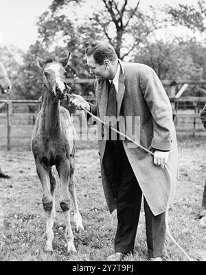 STABLE SECRETS 25 mai 1950 cela ressemble à un échange confidentiel d'informations stables - (concernant le Derby et le résultat du match Woodcock?) - Entre le poids lourd américain Lee Savold et un poulain de Flora de Maye au haras de Mr W H Cockerline à Eddelthorpe, Malton, Yorkshire. Savold, un amateur de chevaux, a visité la ferme lorsqu'il a pris congé de l'entraînement à Scarborough pour son match du titre mondial contre Woodcock à Londres le 6 juin. Banque D'Images