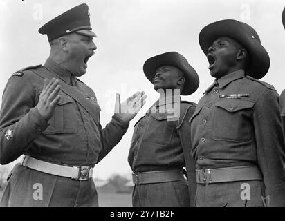 LES AFRICAINS DE L'OUEST ÉTUDIENT LA PRODUCTION VOCALE AVEC LES GARDES 29 avril 1950 les nouvelles recrues qui suivent l'un des cours d'exercices les plus difficiles que l'armée britannique a à offrir sont huit adjudants et deux sergents du Royal West African, qui sont venus en Grande-Bretagne par avion et passent six semaines pénibles avec l'aile All Arms Drill Wing au dépôt des gardes, Caterham, Surrey. À la fin du cours, ils rentreront chez eux et formeront des sous-officiers locaux au Nigeria et sur la Côte de l’Or pour remplacer les soldats britanniques. Image montre : appel de volume par le sergent d'exercice d T Lynch, DCM alors qu'il entraîne Compan Banque D'Images