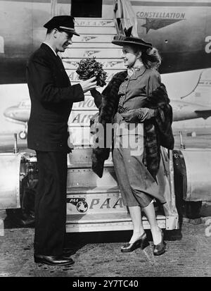 VIOLETTES DE VIRGINIE 5 avril 1950 L'actrice Virginia Mayo présente un posy parfumé, un tas de violettes, au pourvoyeur panaméricain Ronald McBride à l'aéroport de Londres. Les violettes proviennent d'un envoi transporté spécialement à New York pour faire des corsages pour un rassemblement de Pâques à l'hôtel Sherry Netherlands. Hildegarde la star du cabaret, rencontrera l'envoi à l'arrivée. Banque D'Images