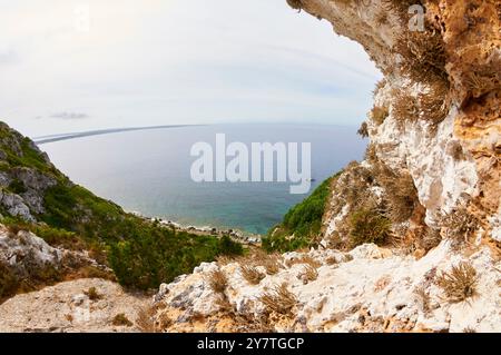 Roccella lichens (Roccella phycopsis) sur une falaise côtière de la Mola avec vue sur l'île (Formentera, Baléares, mer Méditerranée, Espagne) Banque D'Images