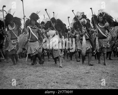 Les guerriers swazis sifflent salutation à la famille Royale une masse de guerriers swazis , 4 000 forts, avec des gaines en peau de léopard, des assegais , des nobkerries et des boucliers en peau de boeuf ont salué le roi George avec l'étrange sifflet entre les dents serrées qui est leur forme du salut royal lorsque la famille royale a visité Goedegun au Swaziland pendant leur tournée sud-africaine. SPECTACLES DE PHOTOS : les guerriers exécutant une danse qui est traditionnellement donnée aux visiteurs du plus haut rang 31 mars 1947 Banque D'Images