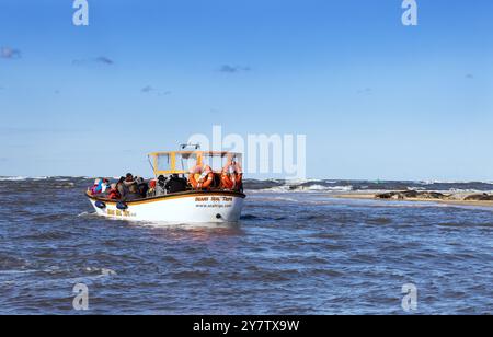 Observation des phoques, Norfolk - un petit bateau de touristes regardant les phoques, Blakeney point, côte nord de Norfolk, Blakeney Norfolk Royaume-Uni. Tourisme Norfolk Banque D'Images