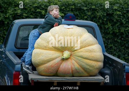 Half Moon Bay California : un garçon de cinq (5) ans attend que sa citrouille de 826 livres soit pesée lors de la 29e pesée annuelle du Championnat du monde Safeway Pumpkin. Il a eu un peu d'aide pour faire pousser la citrouille géante de son père. Il n'avait pas la citrouille la plus lourde mais a été élu le plus mignon cultivateur. La famille avait une citrouille beaucoup plus grande, mais elle a explosé avant qu'ils puissent la récolter. 14 octobre 2002 Banque D'Images