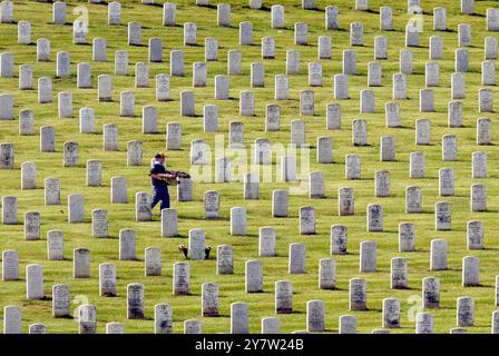 San Bruno, Californie : des centaines de scouts garçons et de scouts filles à travers la région de la baie de San Fransisco sont sortis le samedi 25 mai 2002 pour décorer les pierres de tête du cimetière national du Golden Gate avec de petits drapeaux américains. Banque D'Images