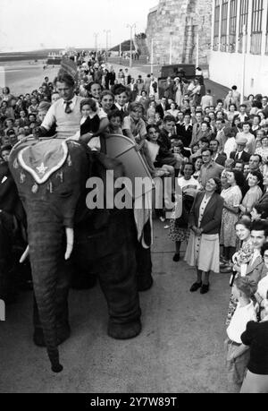 PACHYDERME À ESSENCE RENCONTRE LES FOULES MARGATE 1200 lb éléphant qui est arrivé à Margate hier pour ravir les foules et prendre les enfants pour des promenades n'était pas intéressé par les petits pains et n'a jamais vu la jungle . Jeannie , bien que la plus réaliste à regarder , est purement mécanique , à essence mais peut déplacer son tronc et sa tête et marcher . M. Frank Stuart , l'inventeur , qui a reçu des commandes de répliques de nombreuses régions du monde , a dû demander un permis de conduire pour l'éléphant . L'IMAGE MONTRE:- Jeannie l'éléphant mécanique de 1200 lb fait son chemin à travers les foules Margate avec un Banque D'Images