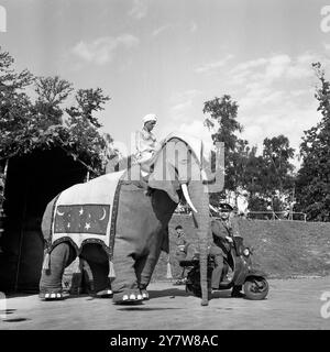 Chertsey, Surrey : assis au sommet de Nellie, l'éléphant est vêtu de couleurs vives Caporal W J Ritchie qui est normalement un chauffeur du Royal Army Service corps . À première vue, l'éléphant a l'air d'une noble bête, mais il a trompé les piétons et les conducteurs de voitures sur cette route du Surrey, parce qu'elle est propulsée par un moteur de 8 ch. Momentanément dupé par la ' puissante bête ' est le major F M Pickering (à droite) qui était en charge d'une récente démonstration de véhicules militaires à travers le pays . C'est évidemment un éléphant que le Major n'oubliera jamais 1962 Banque D'Images