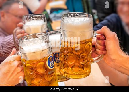 Wiesnbesucher stoßen im Hofbräu-Festzelt mit ihrer Maß Bier an, Oktoberfest, München, Oktober 2024 Deutschland, München, Oktober 2024, Wiesnbesucher stoßen im Hofbräu-Zelt mit ihrer Maß Bier an, Biertrinker, Maßkrüge, Bierpreis im Festzelt 14,95 Euro, Oktoberfest, typisch bayerisch, Volksfest, bayern, *** les visiteurs de l'Oktoberfest portent un toast avec leur Maß de bière dans la tente Hofbräu, Oktoberfest, Munich, octobre 2024 Allemagne, Munich, octobre 2024, Oktoberfest visiteurs toast avec leur Maß de bière dans la tente Hofbräu, buveurs de bière, tasses à bière, prix de la bière dans la tente 14,95 euros, Oktoberfest, typique BAV Banque D'Images