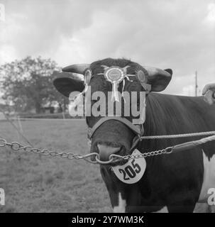 The Edenbridge and Oxted Show - 2 août 1960 Champion suprême Fresian - Bull de R. Sternburg 'Plurenden Chancellor 2nd' crédit : John Topham / TopFoto Banque D'Images