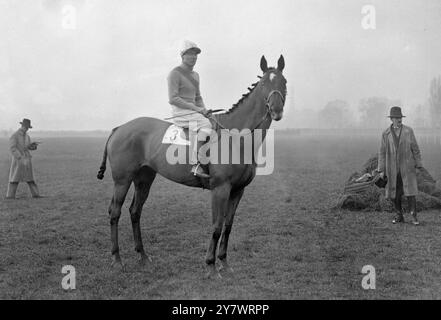 Hurst Park Racecourse , Surrey , Angleterre . ' Princesse Mir ' montée par M. d Jackson . 14 février 1935 Banque D'Images