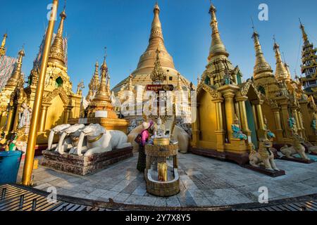 Paya Shwedagon d'or, le plus sacré de pèlerinage de Yangon, Myanmar. Banque D'Images