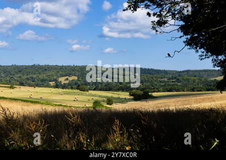 Vue sur les terres agricoles et boisées de Surrey Hills en regardant vers les villages de Gomshall et Shere, près de Guildford Banque D'Images