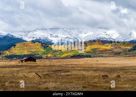 Première chute de neige le premier jour de l'automne dans les Rocheuses du Colorado se mélange avec les couleurs changeantes des arbres Banque D'Images