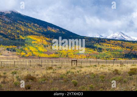 Première chute de neige le premier jour de l'automne dans les Rocheuses du Colorado se mélange avec les couleurs changeantes des arbres Banque D'Images