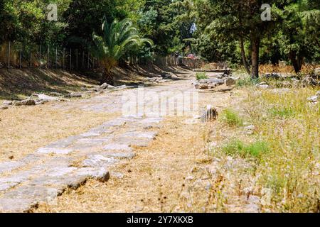 Site archéologique occidental à Kos ville sur l'île de Kos en Grèce : ancienne route via Decumanos Banque D'Images