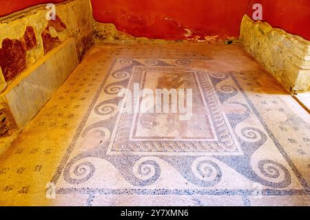 Casa Romana à Kos ville sur l'île de Kos en Grèce : mosaïque de sol avec léopard Banque D'Images