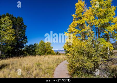 Wilkerson Pass dans le Colorado avec vue sur la chaîne de montagnes ColleGiant Banque D'Images