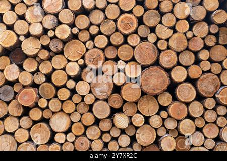 Fond de motif de grumes de bois empilées avec des grumes soigneusement arrangées et coupées uniformément avec des textures naturelles et des tons chauds et terreux Banque D'Images