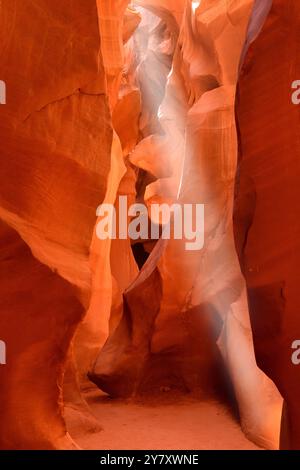 Lower Antelope Canyon with a Light Beam, Navajo Nation, Arizona, États-Unis Banque D'Images