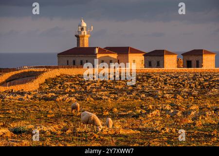 Phare de Punta Nati, Ciutadella, Minorque, Iles Baléares, Espagne Banque D'Images