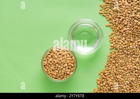 Lens culinaris - lentilles brunes et de l'eau dans le bol. Banque D'Images