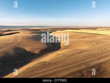 Vue aérienne par drone d'un champ après la récolte d'automne dans la région de Palouse dans le nord-ouest du Pacifique, États-Unis Banque D'Images