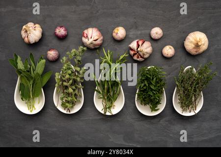 Herbes Greenfresh dans des plats de procélaïne et bulbes d'ail frais sur une grande assiette d'ardoise Banque D'Images