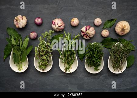 Herbes fraîches dans des bols en porcelaine blanche, feuilles de laurier vertes et bulbes d'ail frais sur une grande assiette en ardoise Banque D'Images