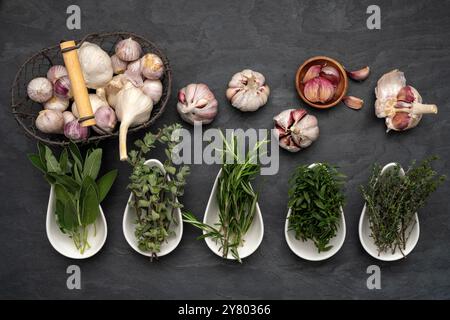 Herbes fraîches dans des bols en porcelaine blanche, bulbes d'ail frais dans un panier en métal et sur une grande assiette en ardoise Banque D'Images