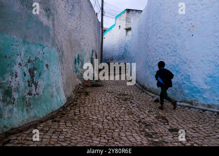 Ethiopie : scène de la vie quotidienne à Harar (Harar-Gey ou simplement Gey), une ville fortifiée de l'est de l'Ethiopie. Harar Jugol, la vieille ville fortifiée, a été répertoriée Banque D'Images