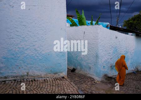 Ethiopie : scène de la vie quotidienne à Harar (Harar-Gey ou simplement Gey), une ville fortifiée de l'est de l'Ethiopie. Harar Jugol, la vieille ville fortifiée, a été répertoriée Banque D'Images