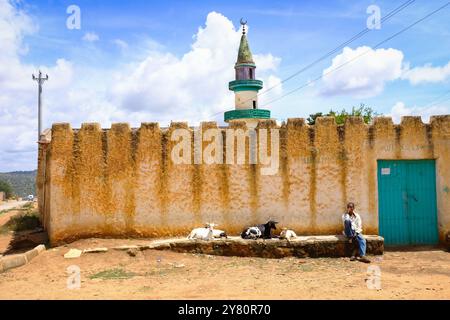 Ethiopie : scène de la vie quotidienne à Harar (Harar-Gey ou simplement Gey), une ville fortifiée de l'est de l'Ethiopie. Harar Jugol, la vieille ville fortifiée, a été répertoriée Banque D'Images