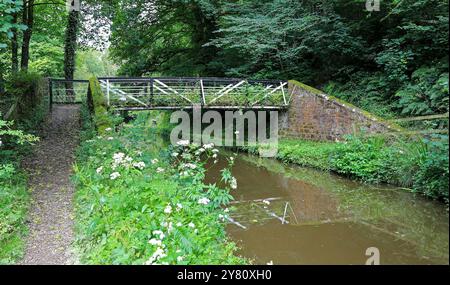 Le pont de transition sur la branche Caldon du canal Trent and Mersey, Froghall, Staffordshire, Angleterre, Royaume-Uni Banque D'Images