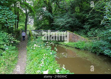 Le pont de transition sur la branche Caldon du canal Trent and Mersey, Froghall, Staffordshire, Angleterre, Royaume-Uni Banque D'Images