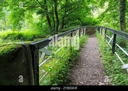 Le pont de transition sur la branche Caldon du canal Trent and Mersey, Froghall, Staffordshire, Angleterre, Royaume-Uni Banque D'Images