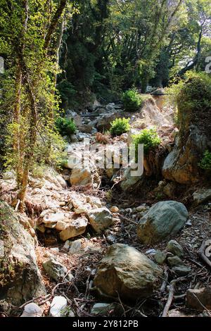 Le chemin des centaures (d'après le cyclone Daniel) Portaria Pelion Grèce Banque D'Images