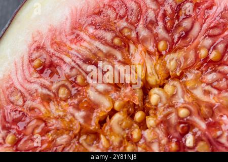 Fond frais de figues découpées et coloré, plat, vue de dessus, texture macro-tropicale aux fruits Banque D'Images