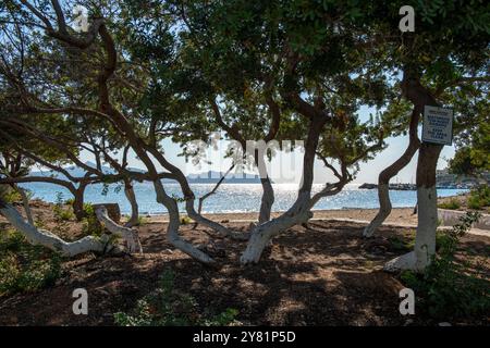 La lumière du soleil brille sur la mer dans la baie de Skala sur l'île grecque d'Agistri Banque D'Images