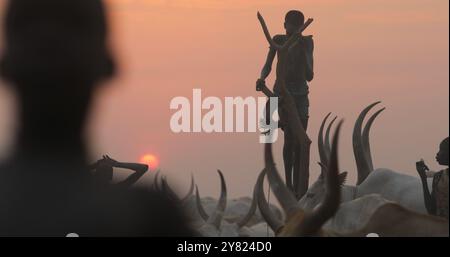 Un garçon de la tribu Mundari debout sur un mât en bois pour observer ses vaches au coucher du soleil, Equatoria central, Terekeka, Soudan du Sud Banque D'Images