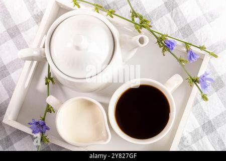 Concept de phytothérapie en couleur blanche. Plateau en bois avec tasse à thé en chicorée, théière, pot à lait sur serviette à carreaux. Vue de dessus. La chicorée aide à faire face aux brins Banque D'Images