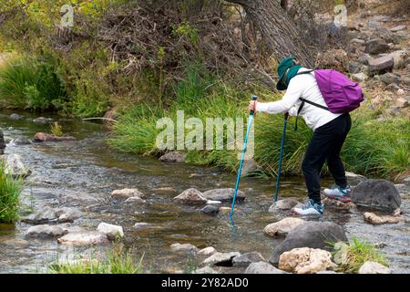 Une femme trekker traversant le ruisseau en marchant sur les rochers avec son bâton de marche et son sac à dos. Banque D'Images