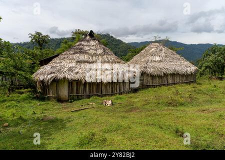 Vue de la cabane traditionnelle indigène Bribir, faite de boue et de bois à Talamanca, Limon Costa Rica Banque D'Images