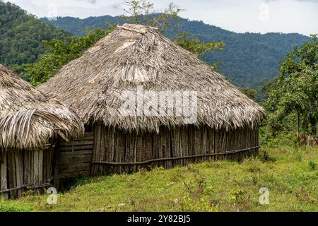 Vue de la cabane traditionnelle indigène Bribir, faite de boue et de bois à Talamanca, Limon Costa Rica Banque D'Images