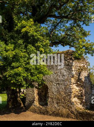 Abbaye de Waverley, Farnham, Surrey, Angleterre, Royaume-Uni, GB. Banque D'Images