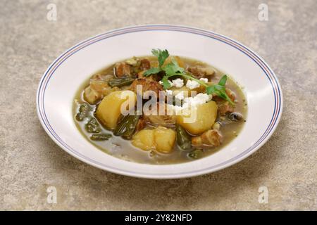 Ragoût de chili vert du Nouveau-mexique, cuisine traditionnelle américaine Banque D'Images