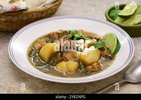 Ragoût de chili vert du Nouveau-mexique, cuisine traditionnelle américaine Banque D'Images