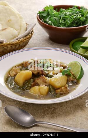 Ragoût de chili vert du Nouveau-mexique, cuisine traditionnelle américaine Banque D'Images