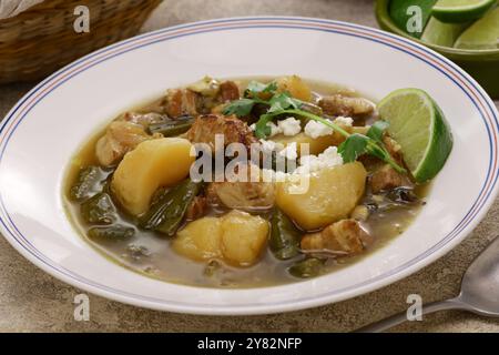 Ragoût de chili vert du Nouveau-mexique, cuisine traditionnelle américaine Banque D'Images