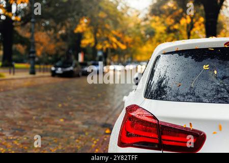 Moody Scenic feu arrière vue sur le pare-brise de voiture blanc moderne couvert de feuilles jaunes dorées tombées garées rue humide de ville automne jour pluvieux. Couvert Banque D'Images