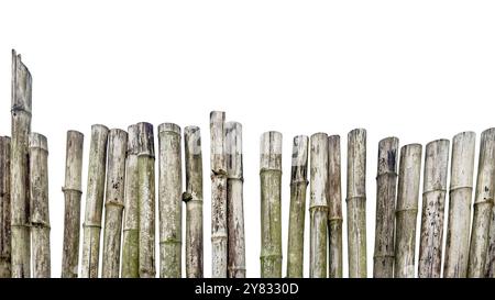 Découpée dans une vieille clôture en bambou altérée avec une teinte grisâtre, montrant des signes de pourriture, avec des chemins de découpage précis sur un fond blanc. Banque D'Images