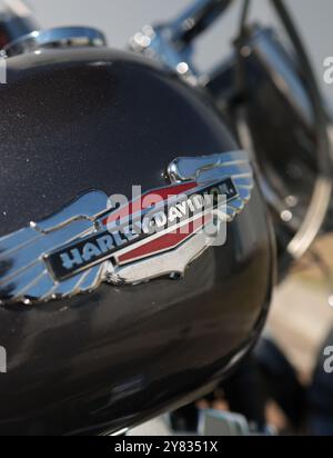 Bucarest, Roumanie - 2 octobre 2024 : détails de faible profondeur de champ (mise au point sélective) avec le logo Harley Davidson sur une moto. Banque D'Images